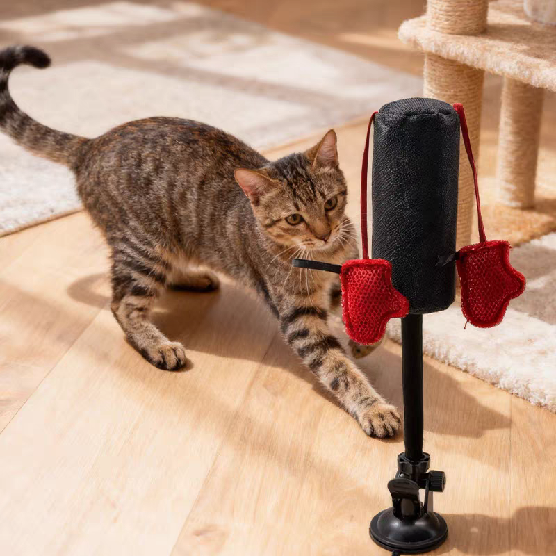 🔥Last Day -49% off🔥Interactive Cat Boxing Toy (The Joys of Cats)🐱🥊