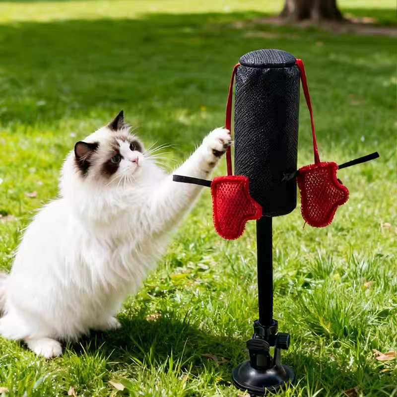Interactive cat toy for scratching and play