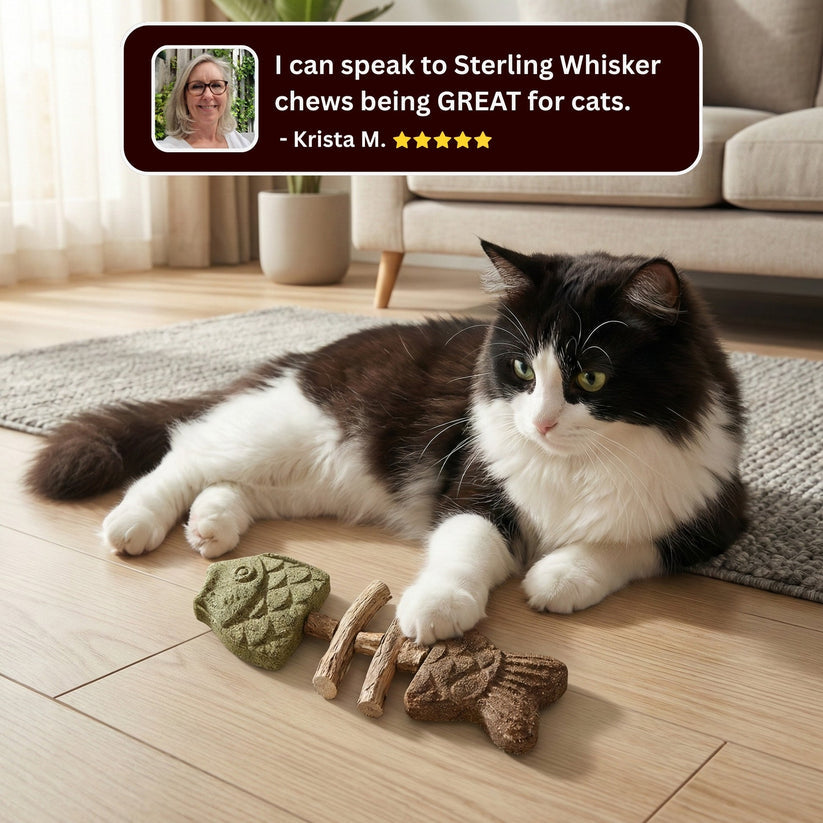 🔥Last Day Buy 1 Get 1🔥 Catnip & Silvervine Chew🐈