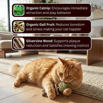 🔥Last Day Buy 1 Get 1🔥 Catnip & Silvervine Chew🐈