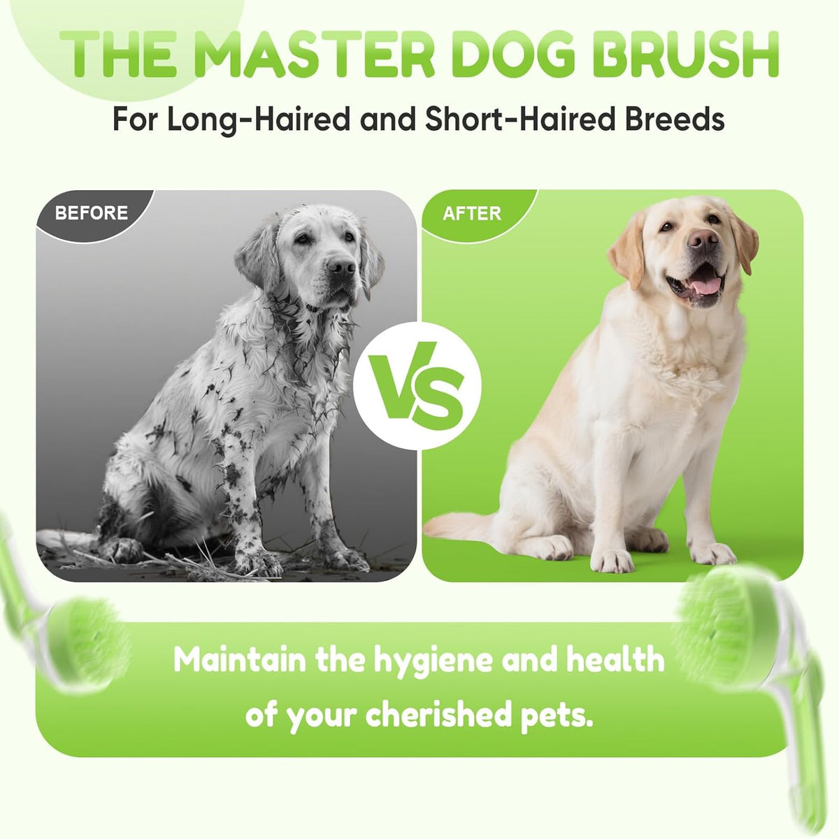 Before and after dog bath grooming with JEREMYTIS pet bath brush