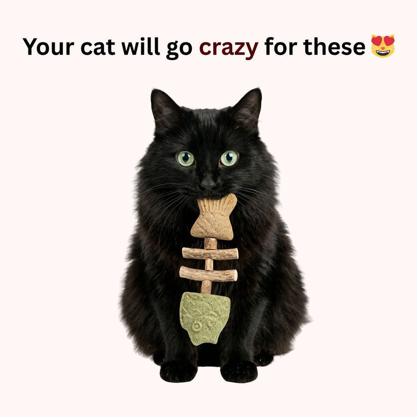 🔥Last Day Buy 1 Get 1🔥 Catnip & Silvervine Chew🐈