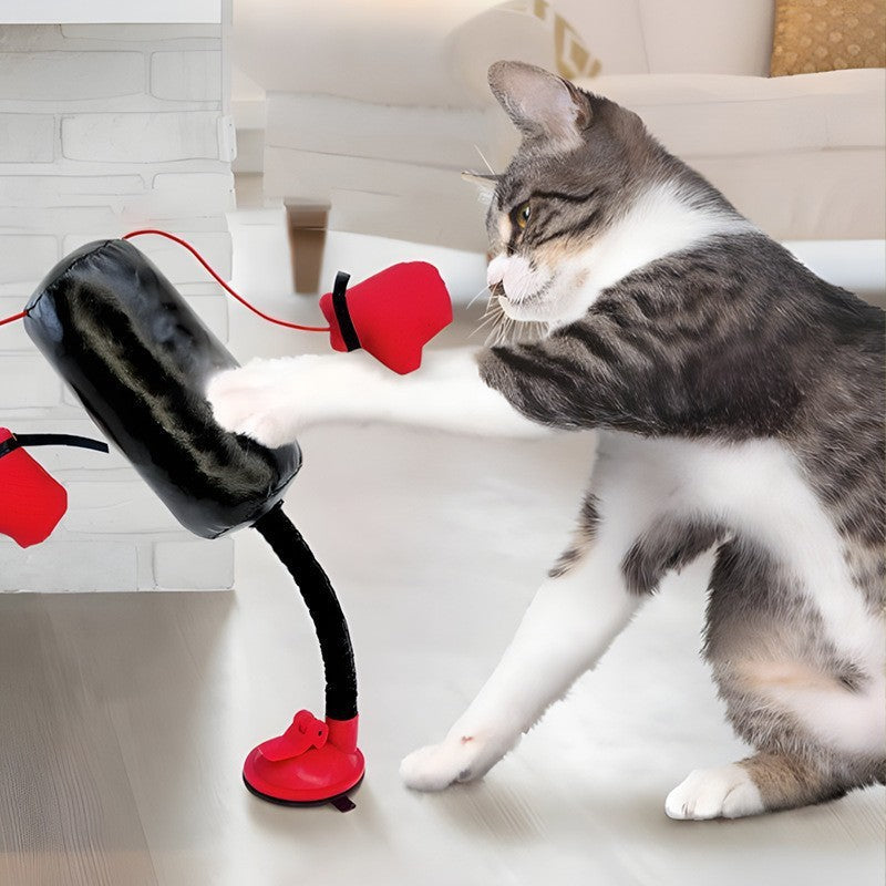 🔥Last Day -49% off🔥Interactive Cat Boxing Toy （The Joys of Cats）🐱🥊