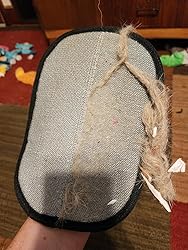 Pet hair clumps collected on glove