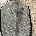 Pet hair collected in a line on remover glove