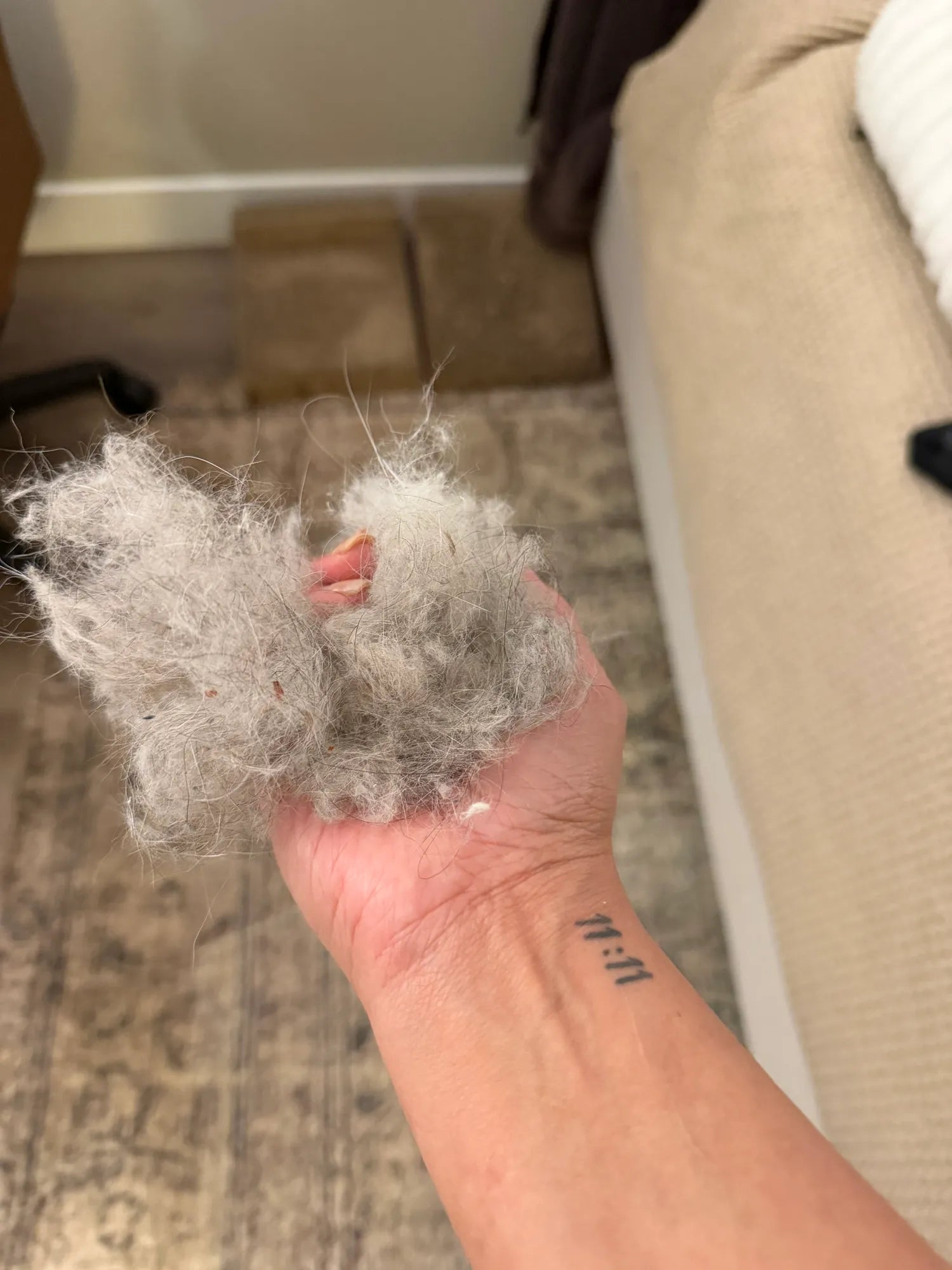 Hand holding large clumps of pet hair