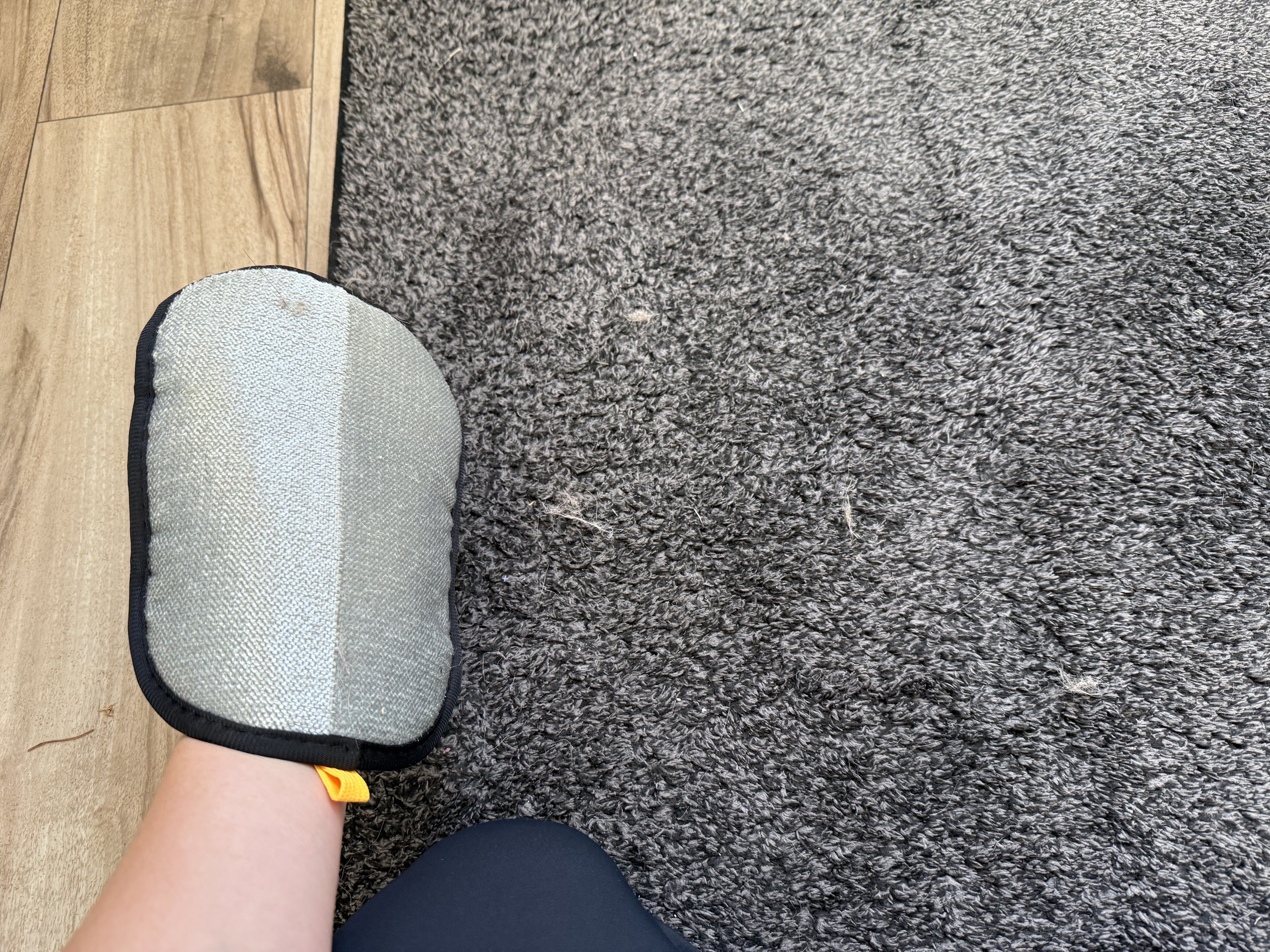 Pet hair remover glove on gray rug