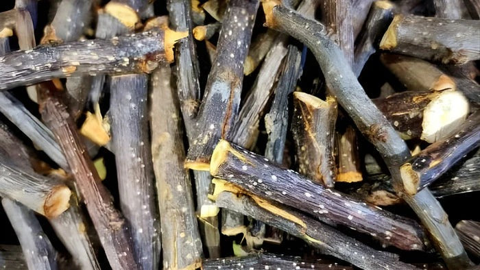 Silvervine wood sticks